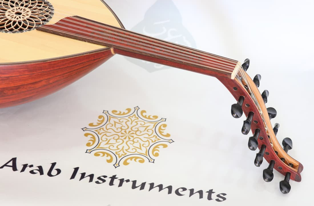 Professional Arabic Electric Oud Instrument AOH-6 | Special Oud String  Musical Instrument